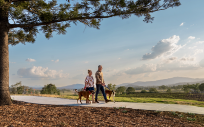 Embracing Nature and Tranquility: A Testament to Life at Spring Creek