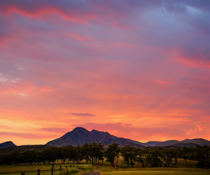 Scenic Rim Producers Spotlight
