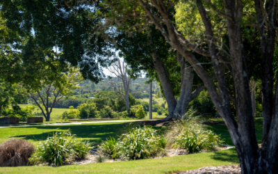 Beaudesert’s Best Kept Secrets