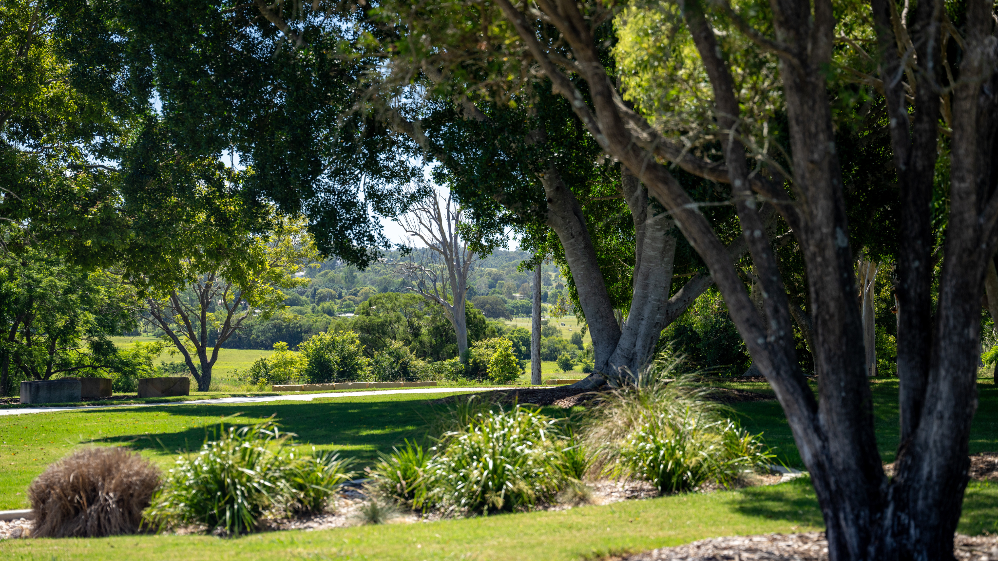 Spring-Creek-Beaudesert-Hidden-Spots-Spring-Creek-Park