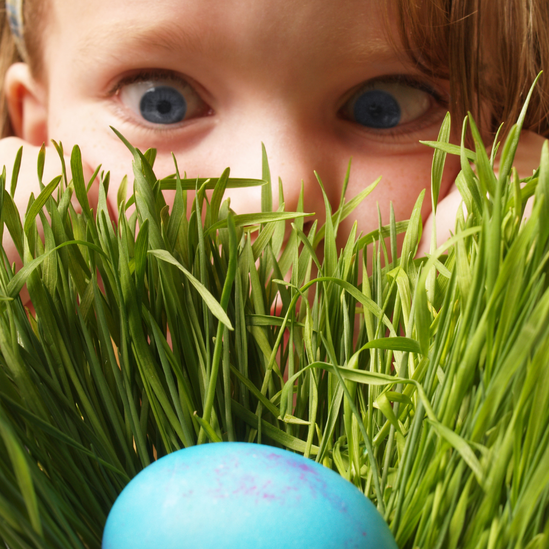 Beaudesert-Bowls-Club-Easter-Egg-stravaganza