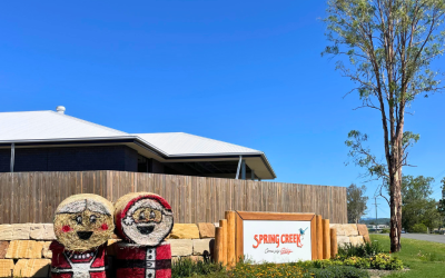 Christmas comes to Spring Creek